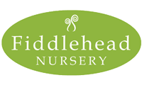 FiddleHead Nursery
